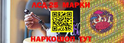 альфа пвп Новодвинск
