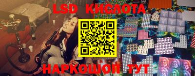 альфа пвп Новодвинск