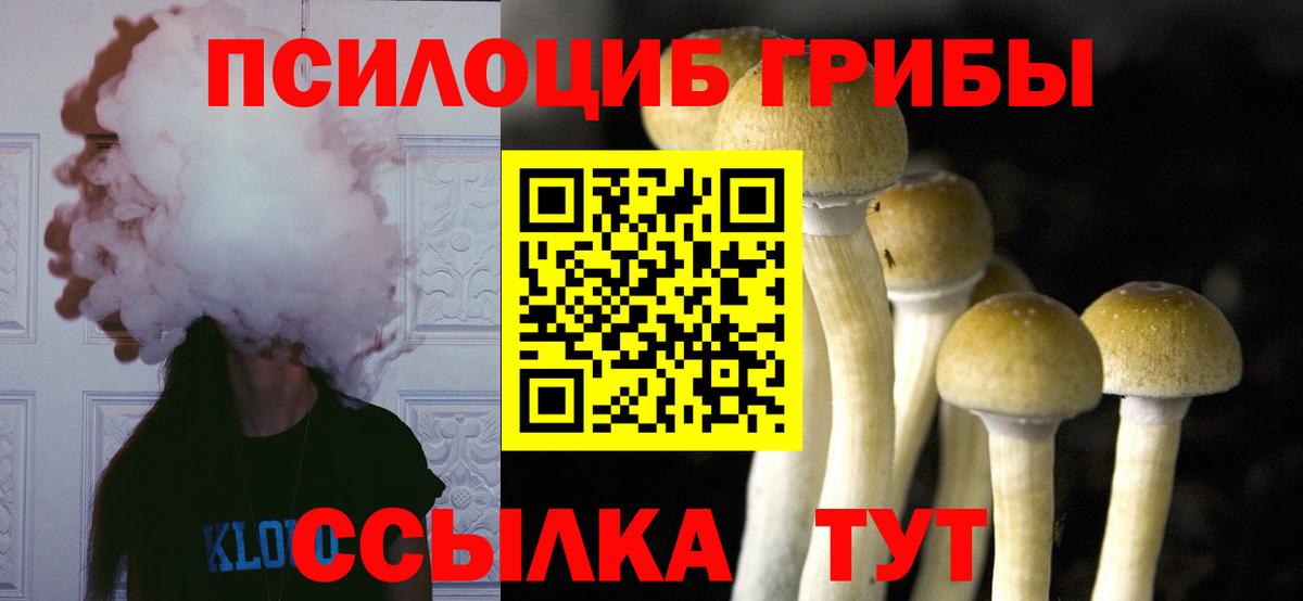 Псилоцибиновые грибы мицелий  купить наркотики цена  Дюртюли  Вход с VPN 